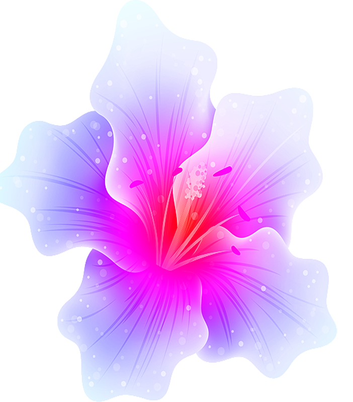 Kwiat 3.